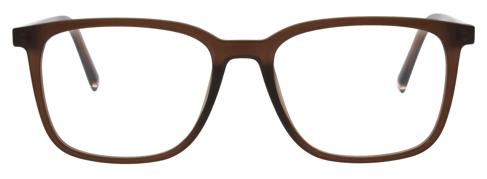 Das Bild zeigt die Eyebar Brille Krakau in mattbraun von vorne.